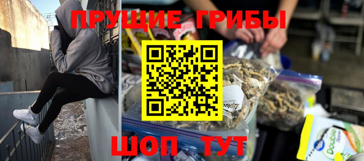 Каменск-Уральский  Галлюциногенные грибы MAGIC MUSHROOMS  Вход с VPN 