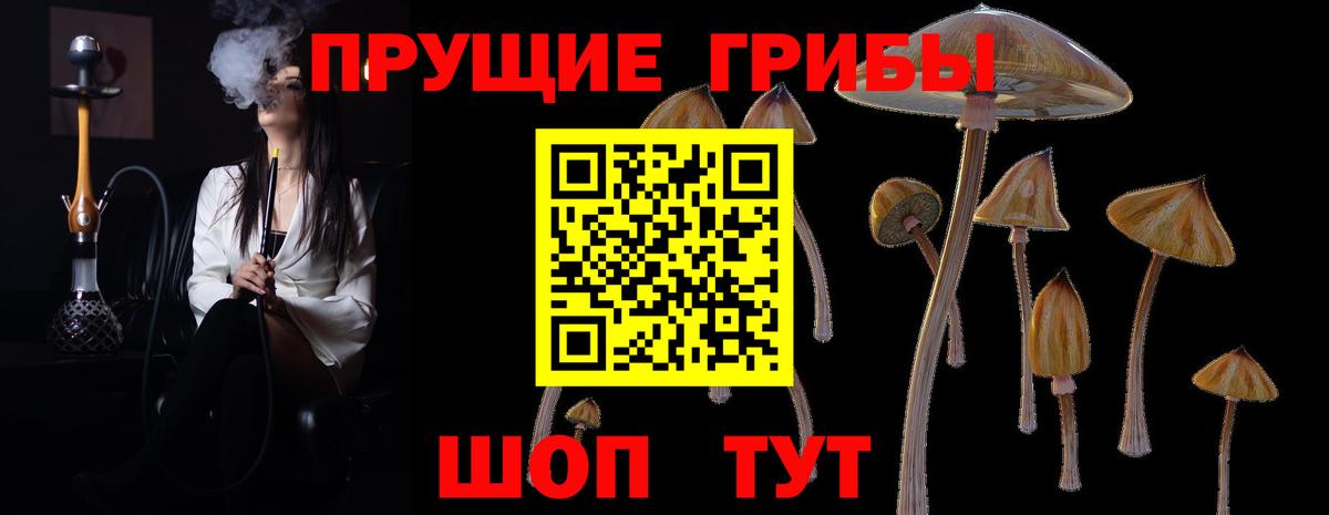 Галлюциногенные грибы GOLDEN TEACHER Каменск-Уральский